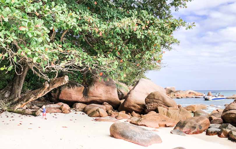 Anse Lazio aux îles Seychelles